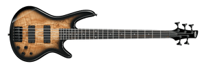 Ibanez GSR205SM-NGT Natural Gray Burst · vista general
