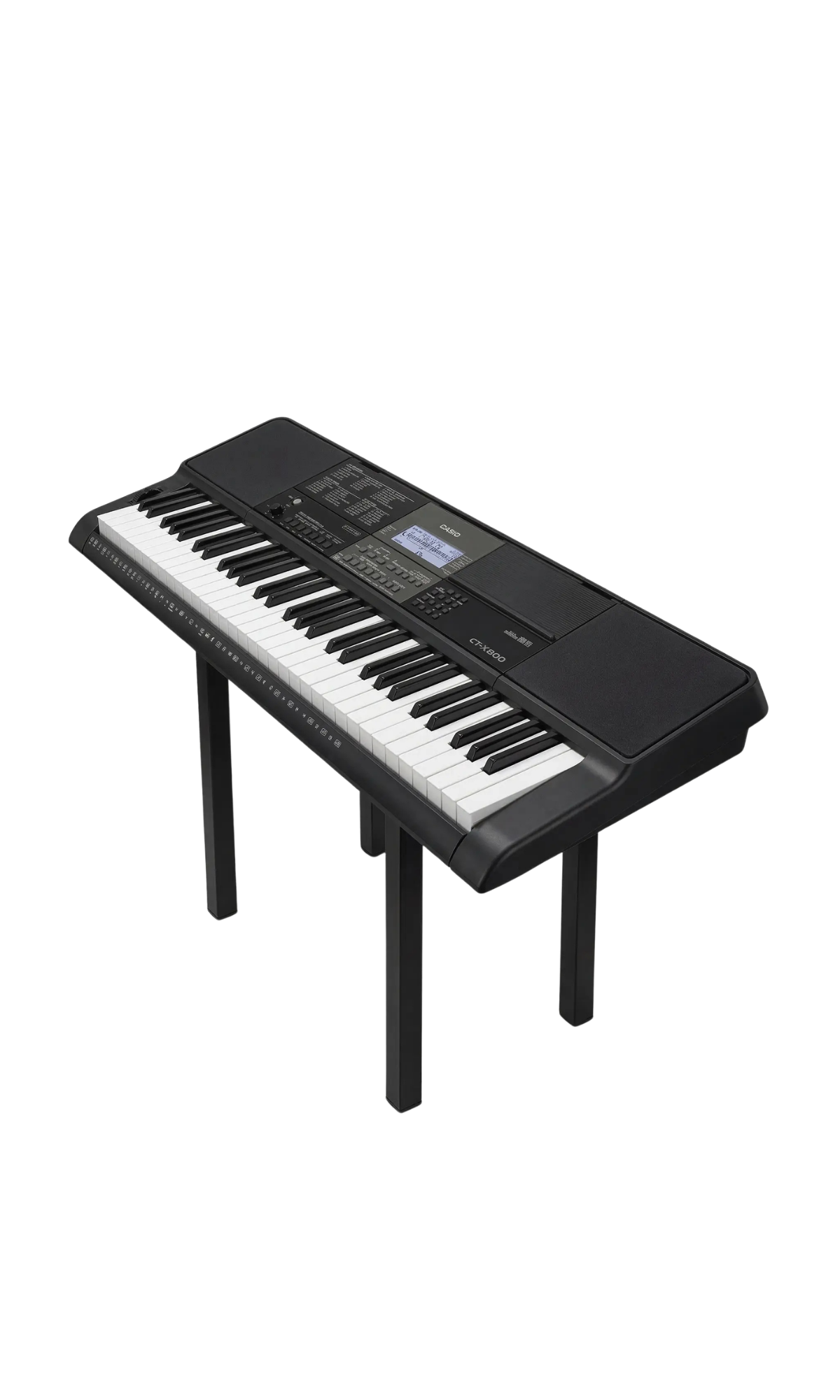 Casio CT-X800 Profesional | Teclado con Fuente AiX y 61 Teclas Sensibles