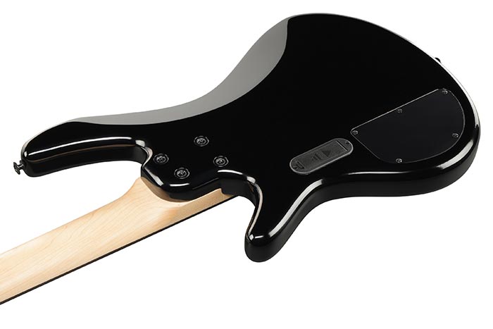 Ibanez GSR205SM-NGT Natural Gray Burst · vista posterior