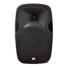 Combo fiesta Cabina activa Pa Pro Audio TR 15AII