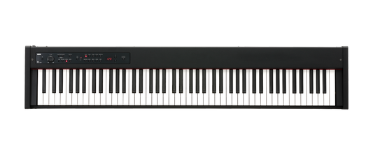 Korg D1 Piano